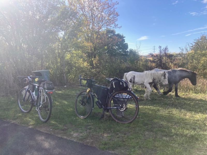 Pastoral Bliss
