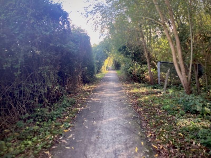 Lovely trails