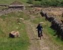 Arton_Gill