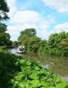 honeystreet.kennet_avoncanal.6_182