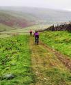 stainforth1
