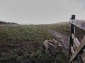 stainforth22