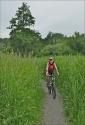 thatcham.towards_kennet_avoncanal.6_18.