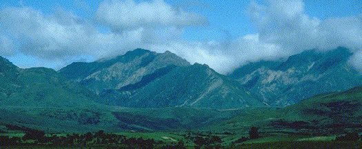 The Black Mount, near Manapouri