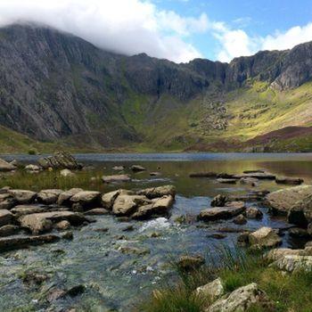 idwal